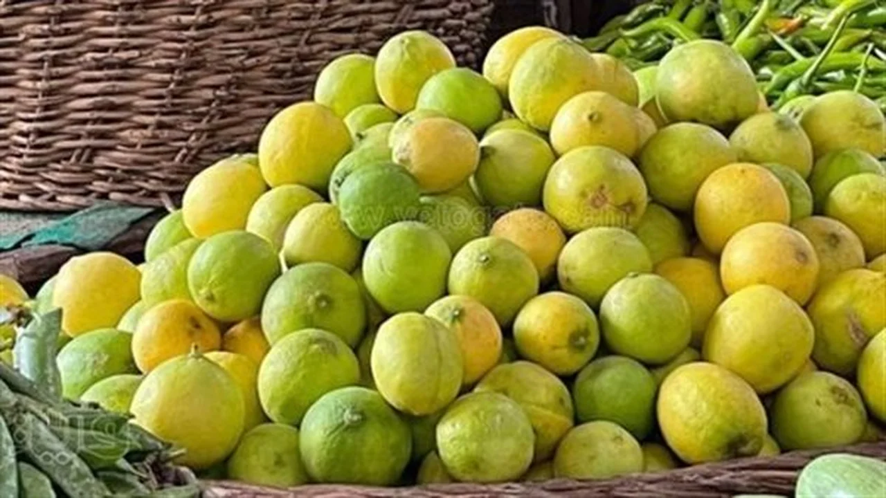 تحديث الأسعار… الليمون والجزر والكوسة تواصل الانخفاض اليوم